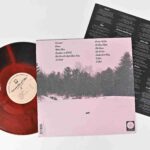 ANTARCTIGO VESPUCCI - LOVE IN THE TIME OF E-MAIL Vinyl Record