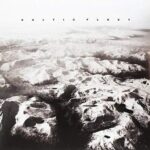 BALTIC FLEET - THE DEAR ONE Vinyl Record
