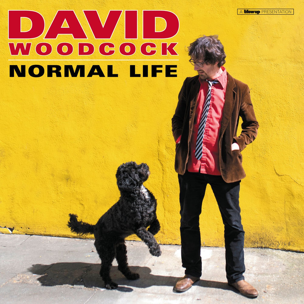 BU121LP.jpg DAVID WOODCOCK - NORMAL LIFE - Image 1
