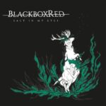 BLACKBOXRED - Salt In My Eyes (Transparent Green. Solid White & Black Mixed Vinyl) Vinyl Record