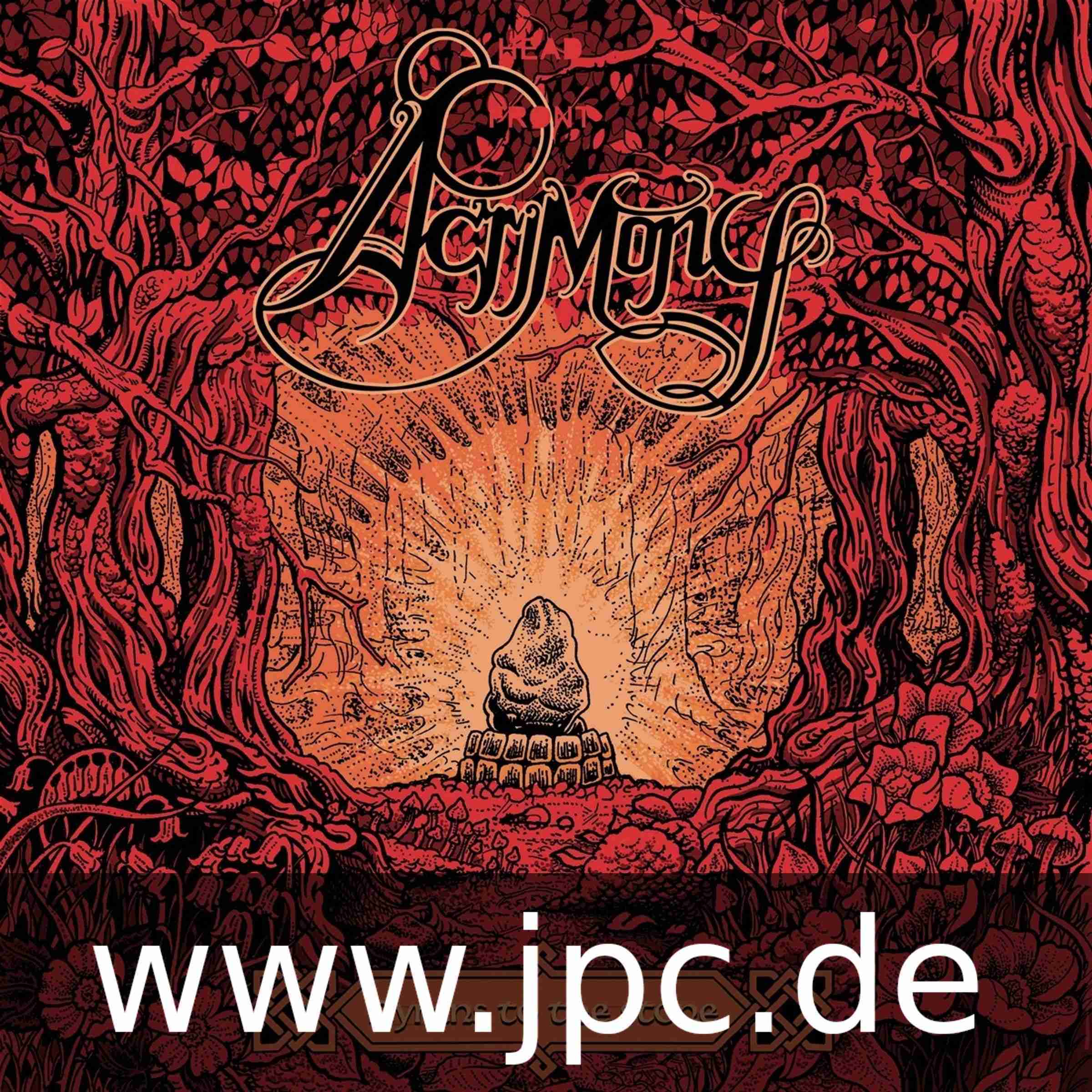 BWR0601LP.jpg ACRIMONY - HYMN TO THE STONE Vinyl Record - Image 1