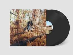 BWZ804LP.jpg BILLY WOODS - GOLLIWOG Vinyl Record - Image 1