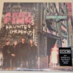 ARIEL PINK'S HAUNTED GRAFFITI - BEFORE TODAY Vinyl Record