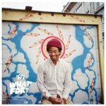 TORO Y MOI - WHAT FOR
