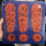 VINCENT III JOHN - SONGS FOR THE CANYON Vinyl Record