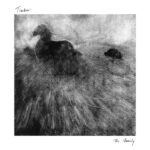 TIMBER - FAMILY THE