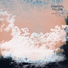 CHEM260.jpg ADMIRAL FALLOW - THE IDEA OF YOU Vinyl Record - Image 1