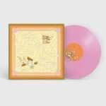 CHRYSANTHS - LEAVE NO SHADOW Vinyl Record