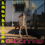 TANUKICHAN - GIZMO