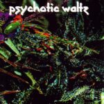PSYCHOTIC WALTZ - MOSQUITO