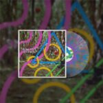 BEARS IN TREES - AND EVERYBODY ELSE SMILED BACK Vinyl Record