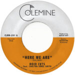 DOJO CUTS - HERE WE ARE