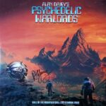 ALAN DAVEYS PSYCHEDELIC WARLORDS - Hall Of The Mountain Grill Live (London 2014) Vinyl Record