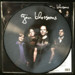 GIN BLOSSOMS - LIVE IN CONCERT (PICTURE DISC)