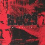 BLAK29 - WAITING THE Vinyl Record