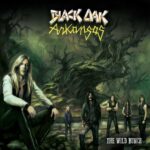 BLACK OAK ARKANSAS - WILD BUNCH THE Vinyl Record