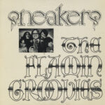 FLAMIN GROOVIES - Sneakers