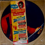 BO DIDDLEY - IM A MAN - LIVE 84