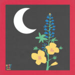 SUMMER SALT - RESIDE