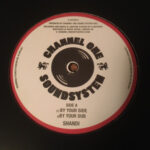 Channel One, Shandii & Winston Rose - By Your Side