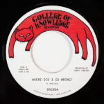 Brenda - Where Did I Go Wrong? b/w Family