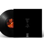Allysha Joy - They're Energised Vinyl Record
