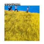 SUMMERHILL - Summerhill