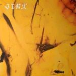 CRUMB - JINX Vinyl Record