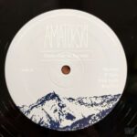 AMATORSKI - FROM CLAY TO FIGURES Vinyl Record