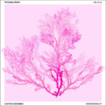 TATIANA PARIS - T H A L L E