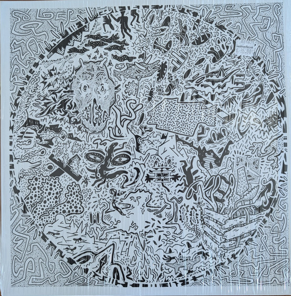 CSOOG9055461.jpg DAVIS RYAN BAND - NEW THREATS FROM THE SOUL - Image 1