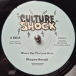 Shayne Amani - Where Has The Love Gone / Version