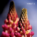 HRSTA - GHOSTS WILL COME AND KISS OUR