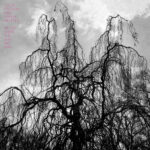 COLIN STETSON - NEVER WERE THE WAY SHE WAS