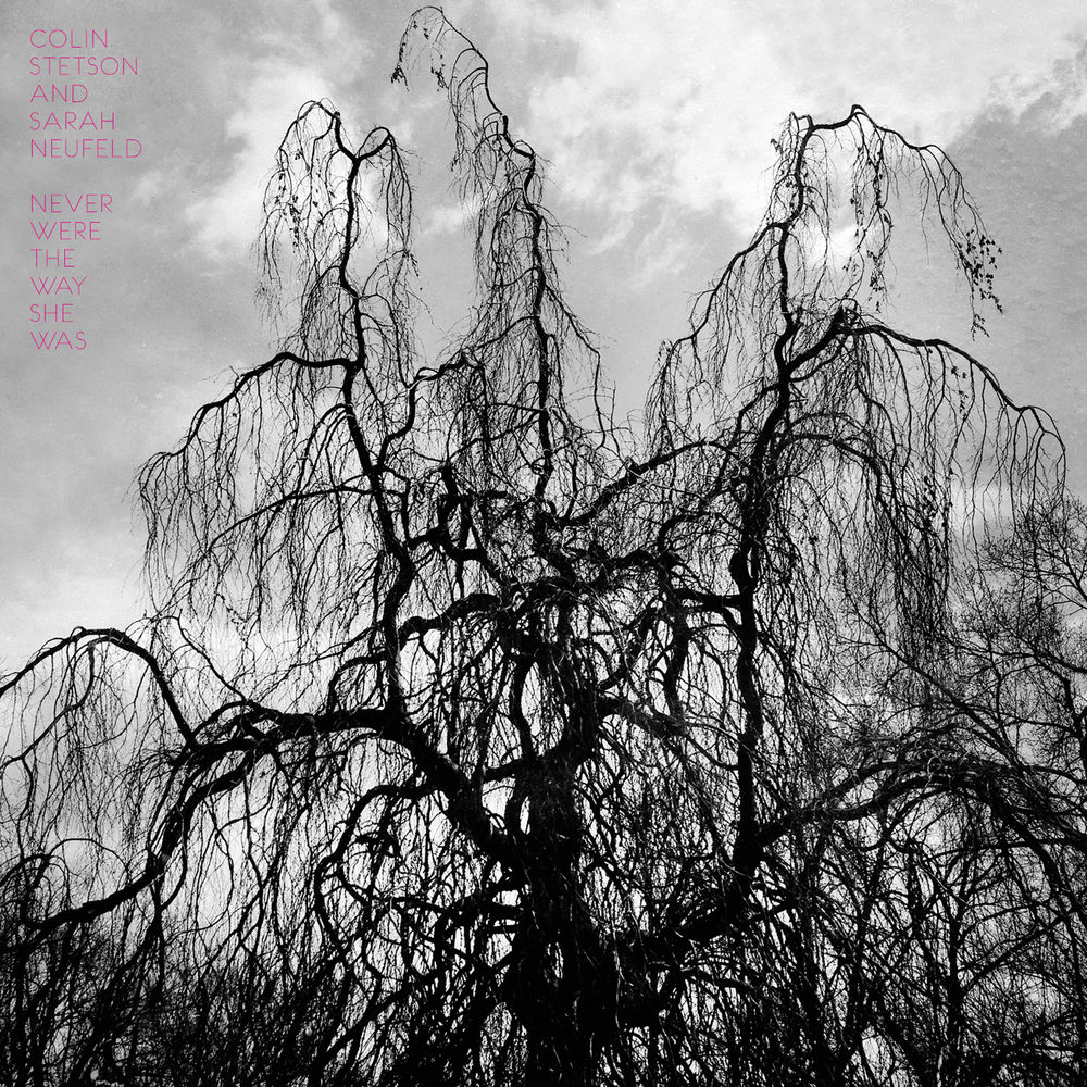CST113LP.jpg COLIN STETSON - NEVER WERE THE WAY SHE WAS - Image 1