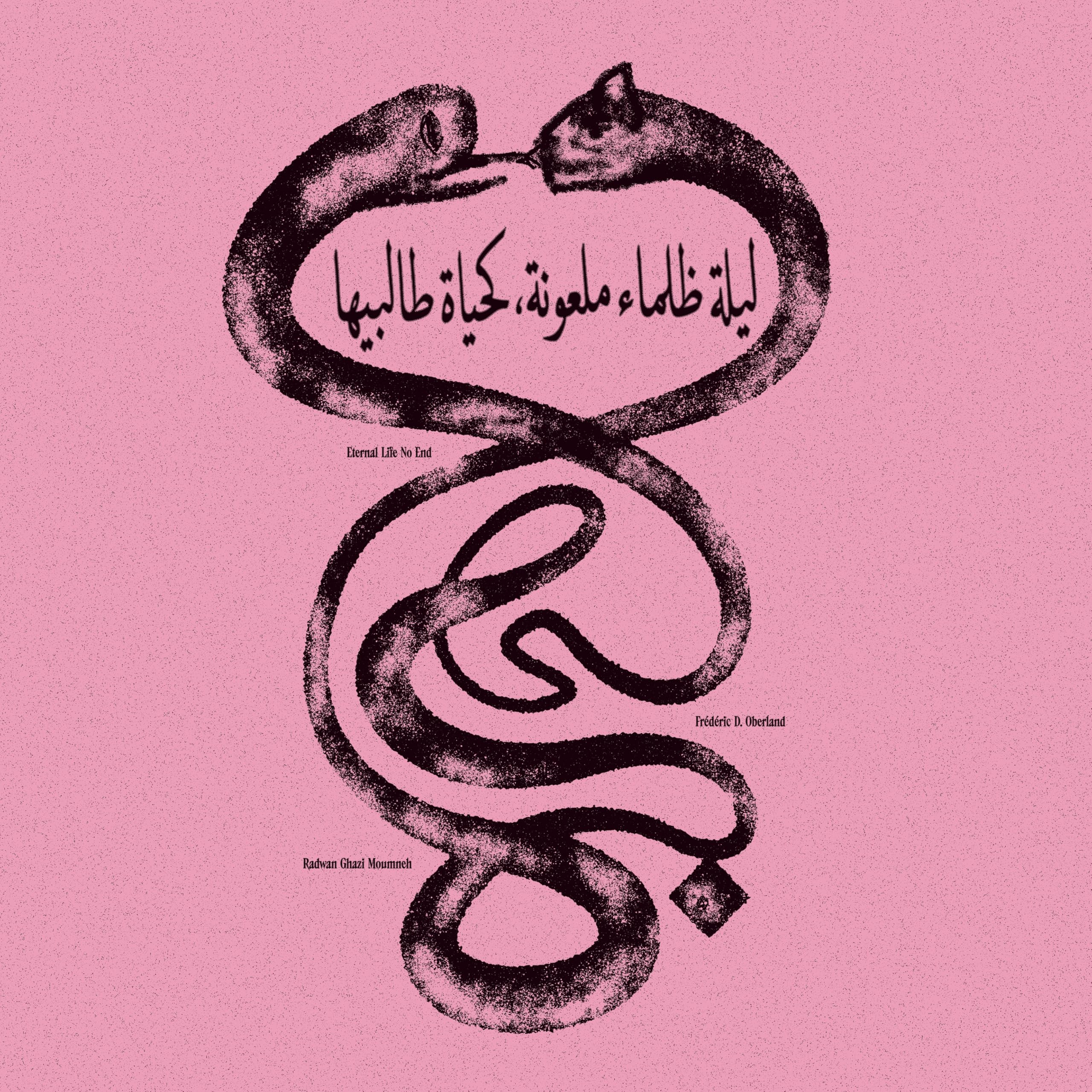 CST191LP.jpg RADWAN GHAZI MOUMNEH & FRéDéRIC D. OBERLAND - ETERNAL LIFE NO END - ???? ????? ??????? ????? - Image 1