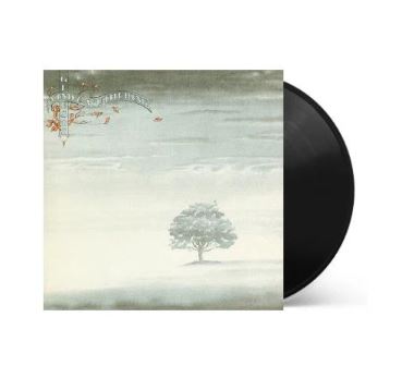 Capture-3.jpg Genesis Wind And Wuthering (1LP/180g) Vinyl - Image 1