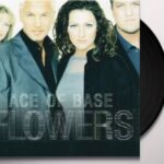ACE OF BASE FLOWERS (CLEAR VINYL) Vinyl
