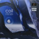 COIL - Musick To Play In The Dark 2 (Indies) Vinyl Record