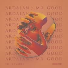 DB231V.jpg ARDALAN - MR. GOOD (THE REMIXES) Vinyl Record - Image 1