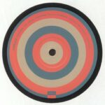 AUDIOJACK - STAY STRONG Vinyl Record