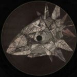 ADAM BEYER - STONE FLOWER Vinyl Record