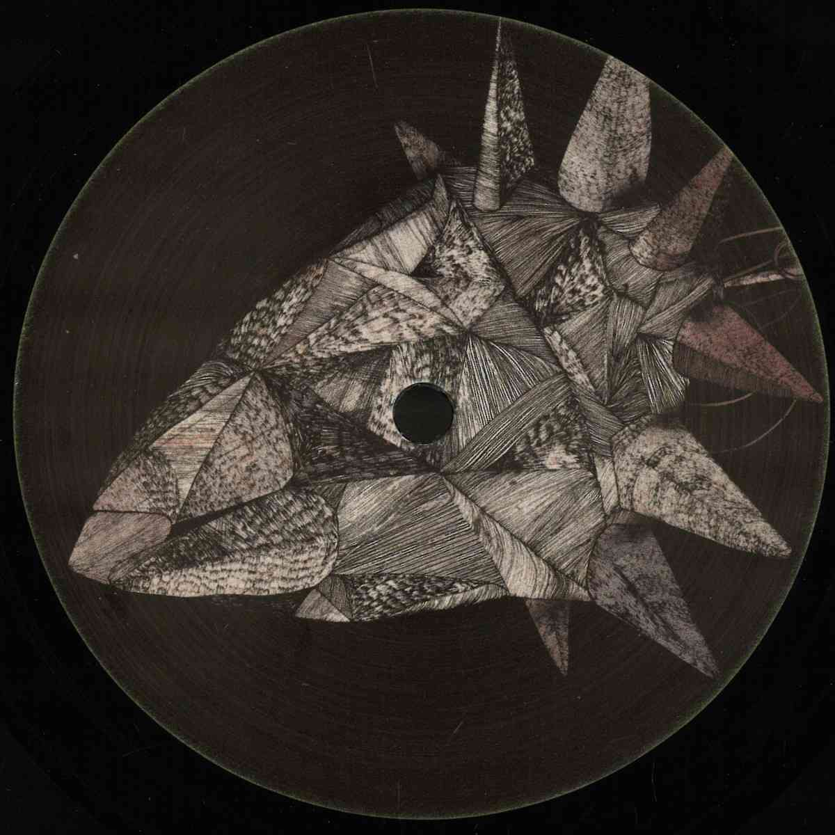 DC141.jpg ADAM BEYER - STONE FLOWER Vinyl Record - Image 1