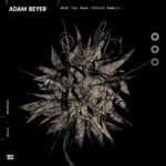 Adam Beyer - What You Need (Kolsch Remix)