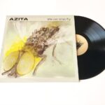 AZITA - LIFE ON THE FLY Vinyl Record
