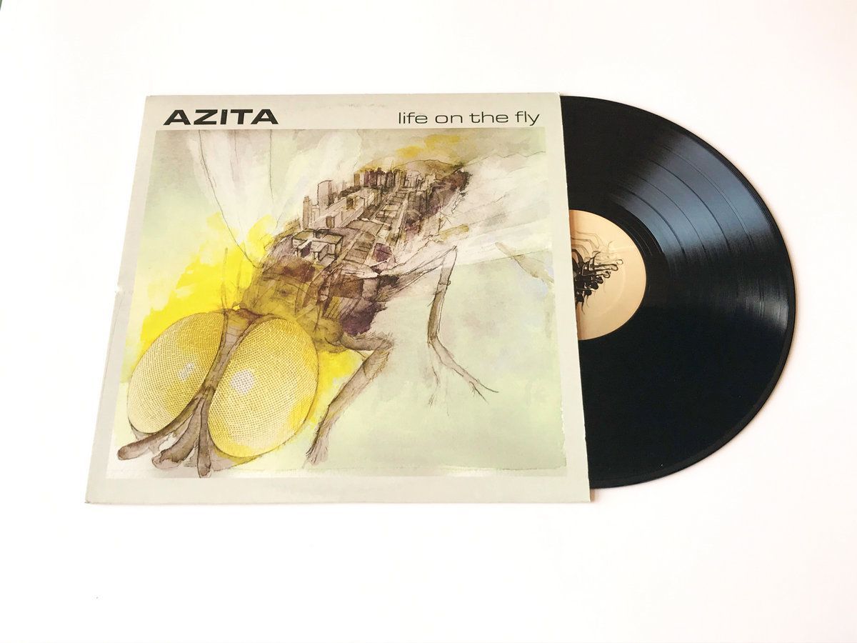 DC264.jpg AZITA - LIFE ON THE FLY Vinyl Record - Image 1