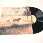 BILL CALLAHAN - SOMETIMES I WISH WE WERE AN EAGLE Vinyl Record
