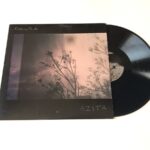AZITA - DISTURBING THE AIR Vinyl Record