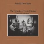 ARNOLD DREYBLATT - NODAL EXCITATION Vinyl Record
