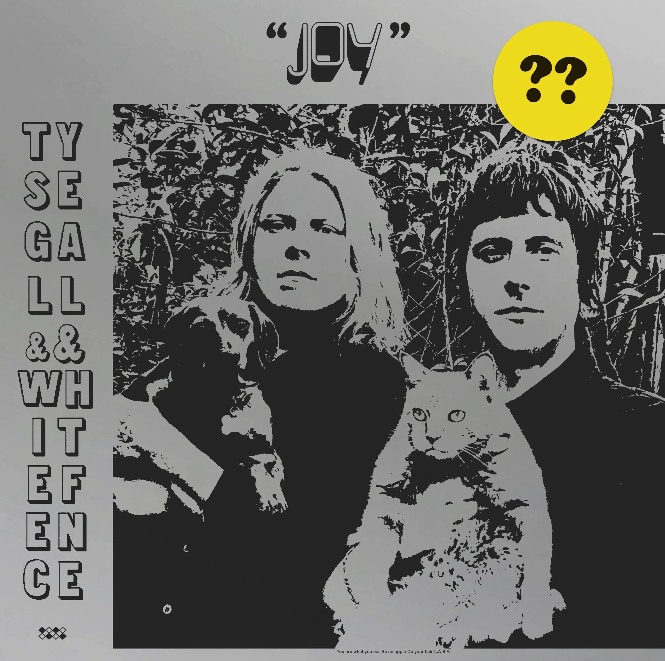 DC679-scaled-1.jpg TY SEGALL & WHITE FENCE - JOY - Image 1